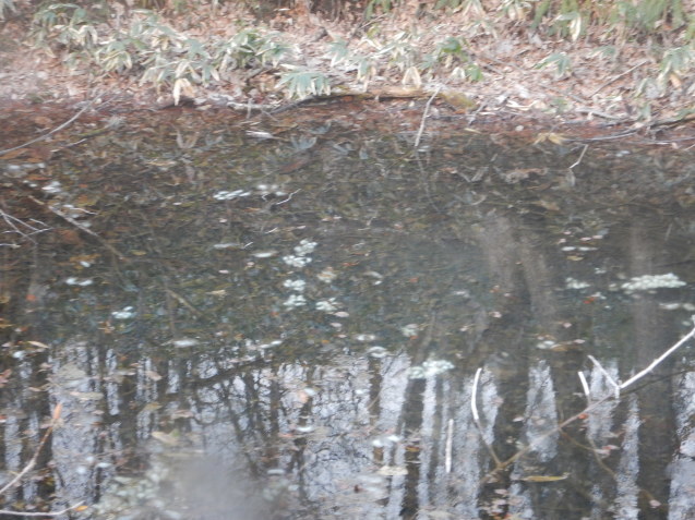 f0118332_00410215.jpg
