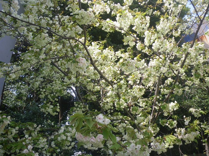 c0033636_22491393.jpg