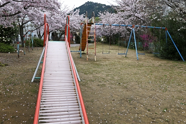 a0242438_20250988.jpg