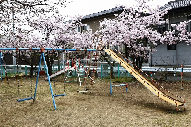 a0242438_20251889.jpg