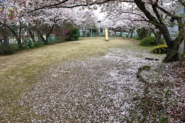 a0242438_20264584.jpg