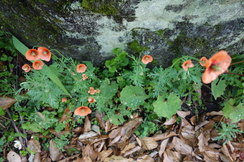 f0375039_19494671.jpg