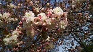b0080342_13074559.jpg