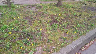 b0080342_13245852.jpg