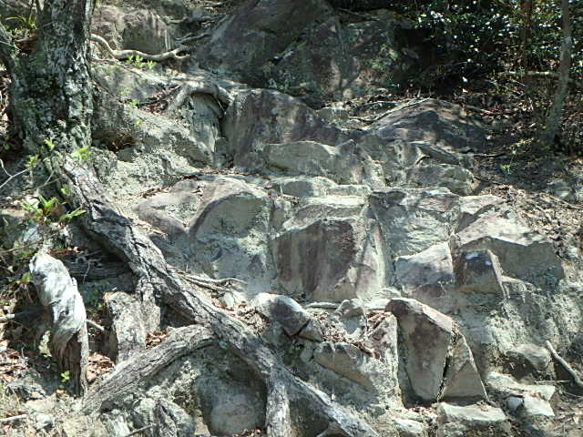 f0334143_7303322.jpg