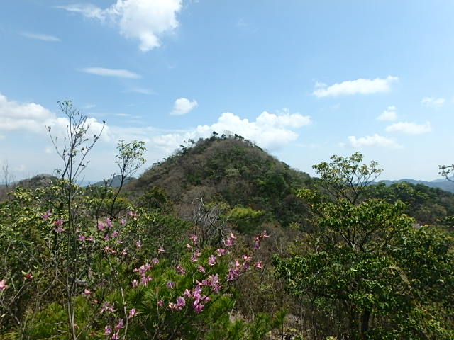 f0334143_7361446.jpg