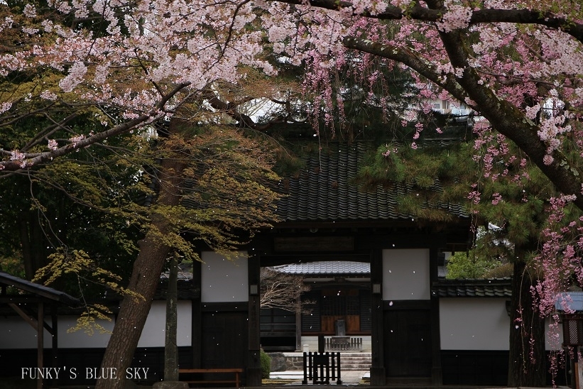c0145250_12292446.jpg