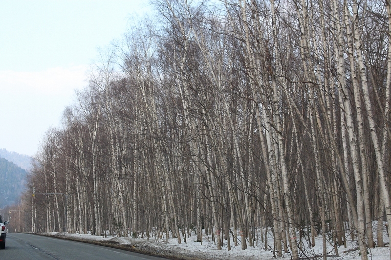 b0250154_21431036.jpg