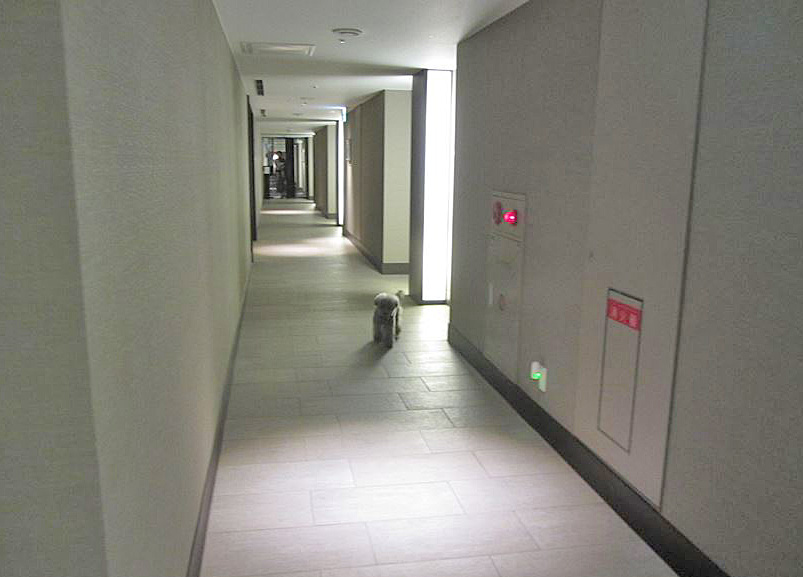 e0129656_2242488.jpg