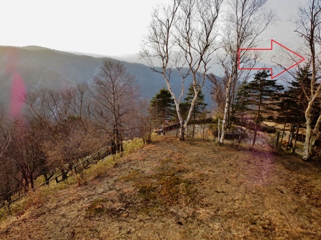 c0099564_09083247.jpg