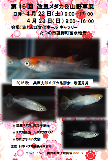 d0107166_14111812.png