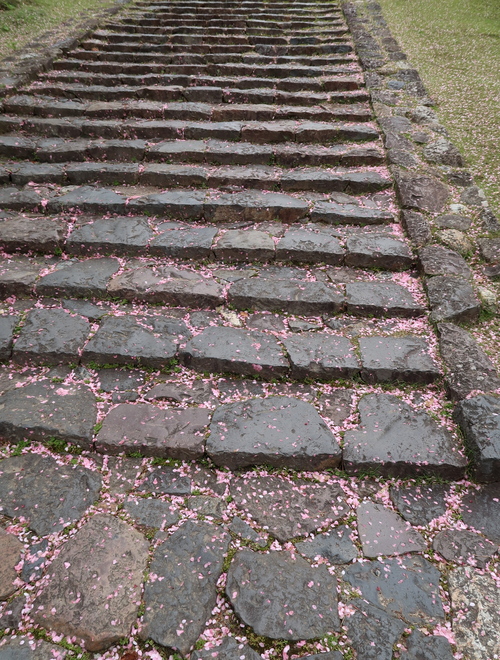 b0113868_23104489.jpg