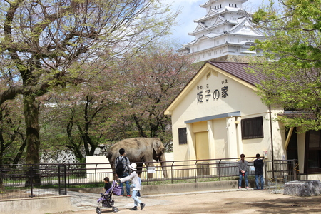 b0289172_13315996.jpg