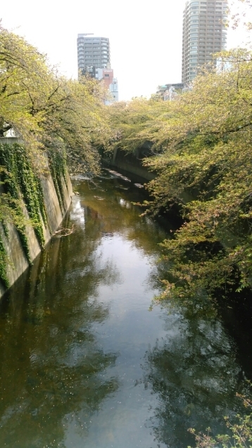 c0162773_00432934.jpg