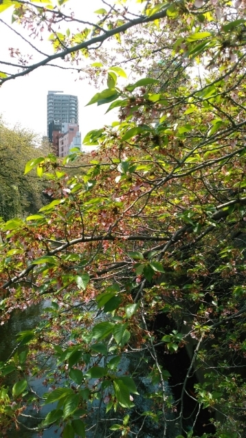 c0162773_00433296.jpg