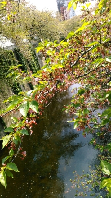 c0162773_00433531.jpg
