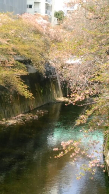 c0162773_00433940.jpg