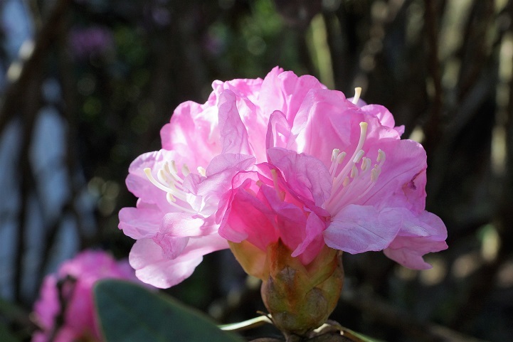 c0248473_20083144.jpg
