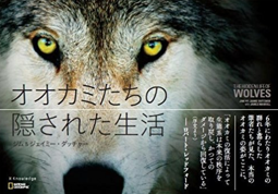 f0215179_21513532.png