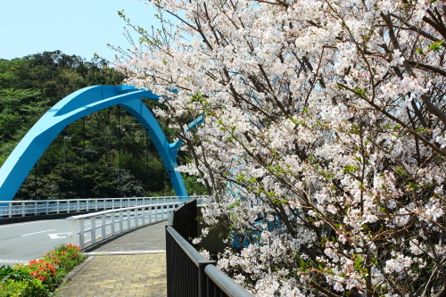 c0204385_13181110.jpg