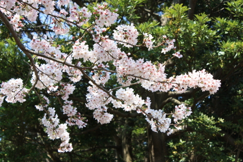 c0204385_13195510.jpg