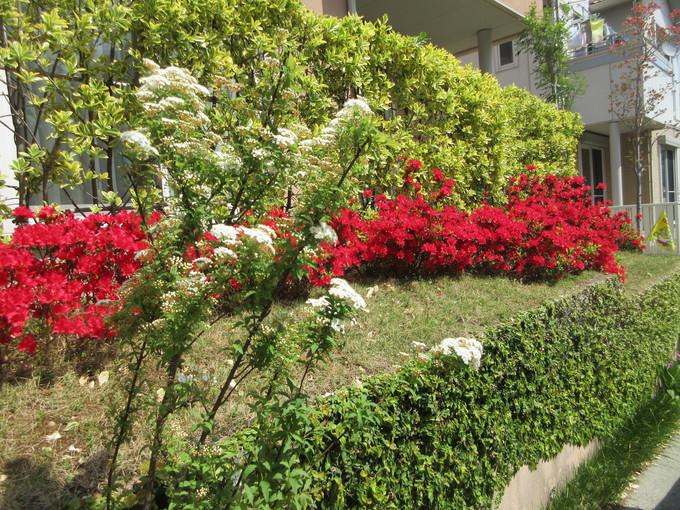f0053885_2112070.jpg
