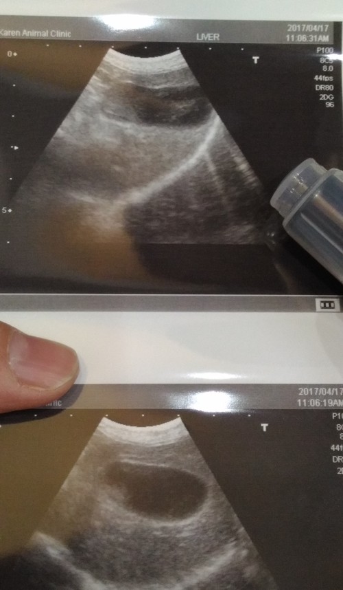 e0123587_22471663.jpg