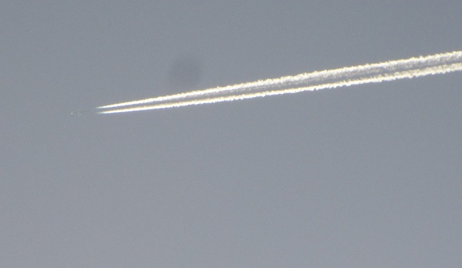 a0143388_10145645.jpg