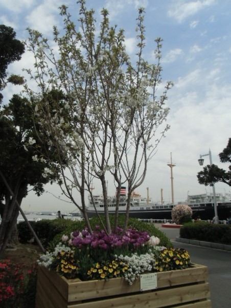e0114588_14000211.jpg