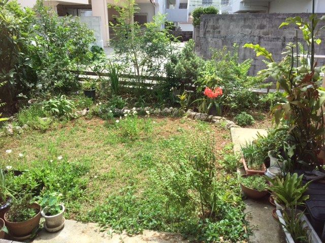 c0064389_14332836.jpg