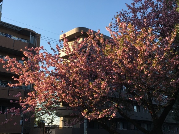 c0123890_19404979.jpg