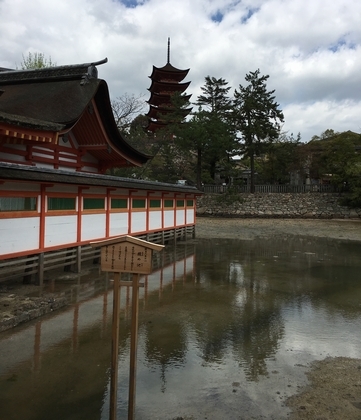 b0035391_17021614.jpg