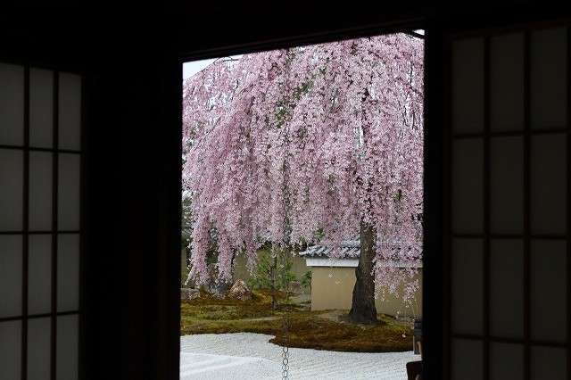 f0374092_21131324.jpg