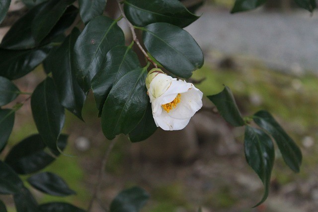 f0374092_21204309.jpg