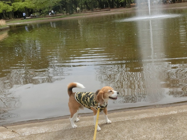 a0319693_8434660.jpg