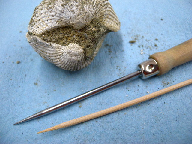 a0199297_20503981.jpg