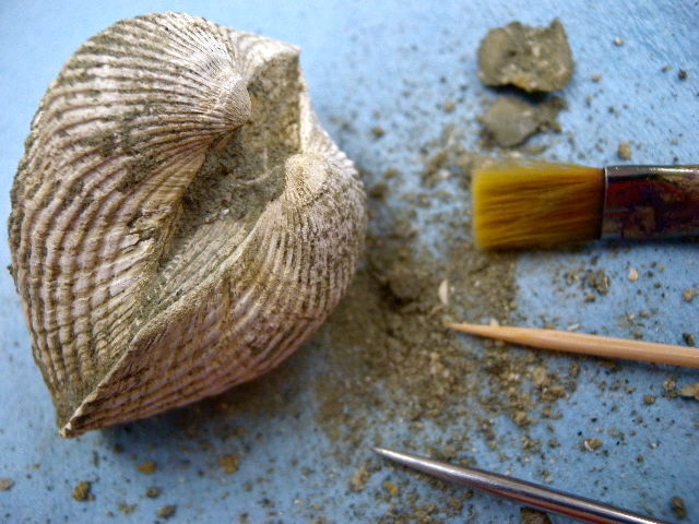 a0199297_20515995.jpg