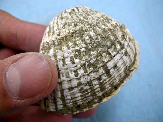 a0199297_20552984.jpg
