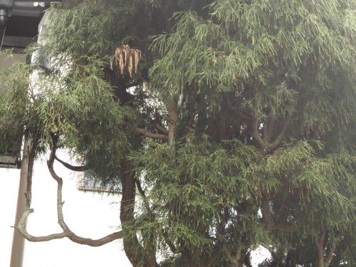 c0108198_15561371.jpg