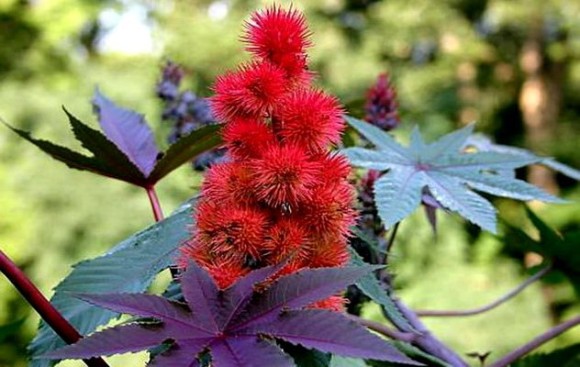 c0072801_0573536.jpg