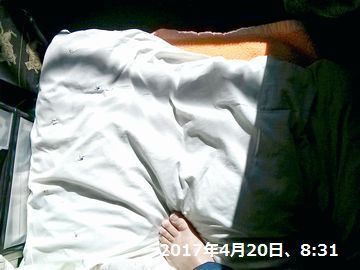 d0051601_23111449.jpg