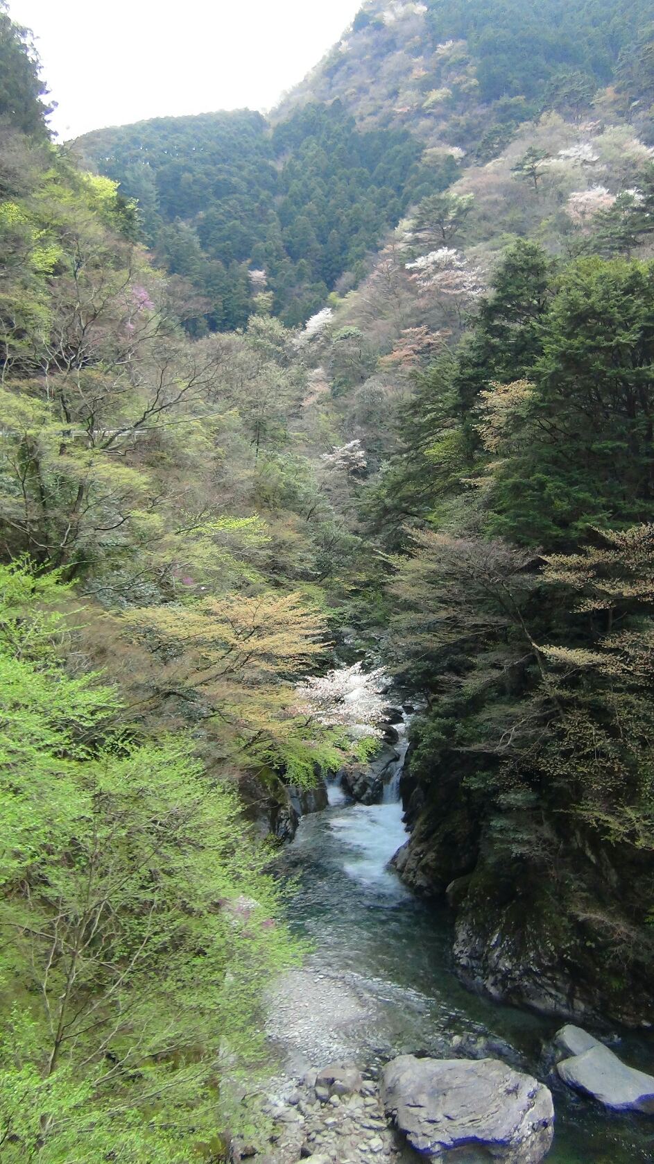 f0231709_2224143.jpg