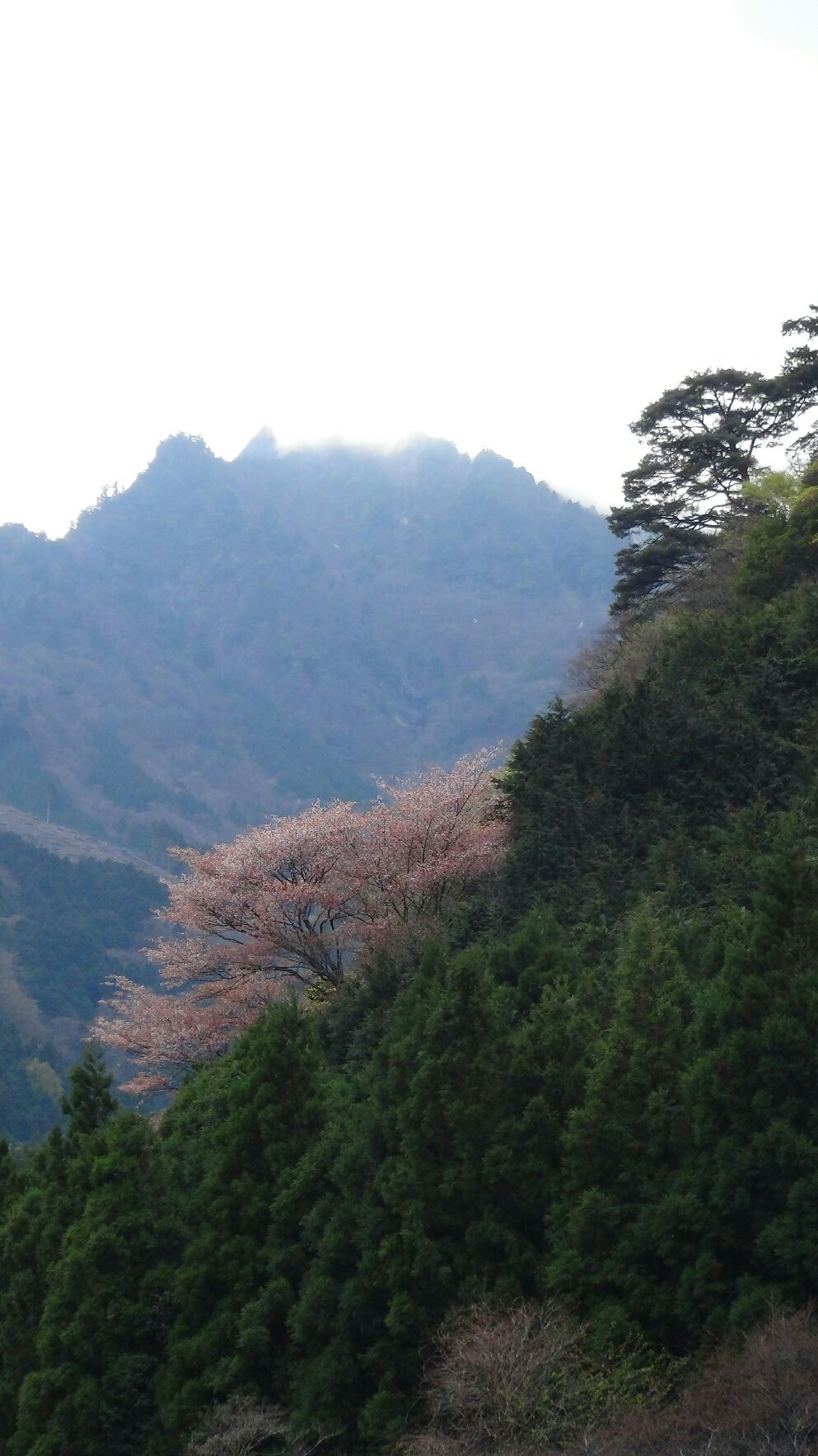 f0231709_22271345.jpg