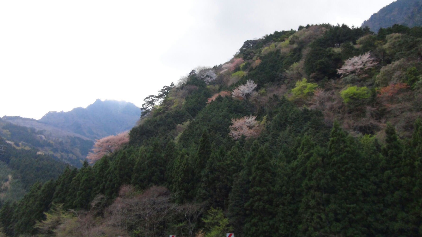 f0231709_22282730.jpg