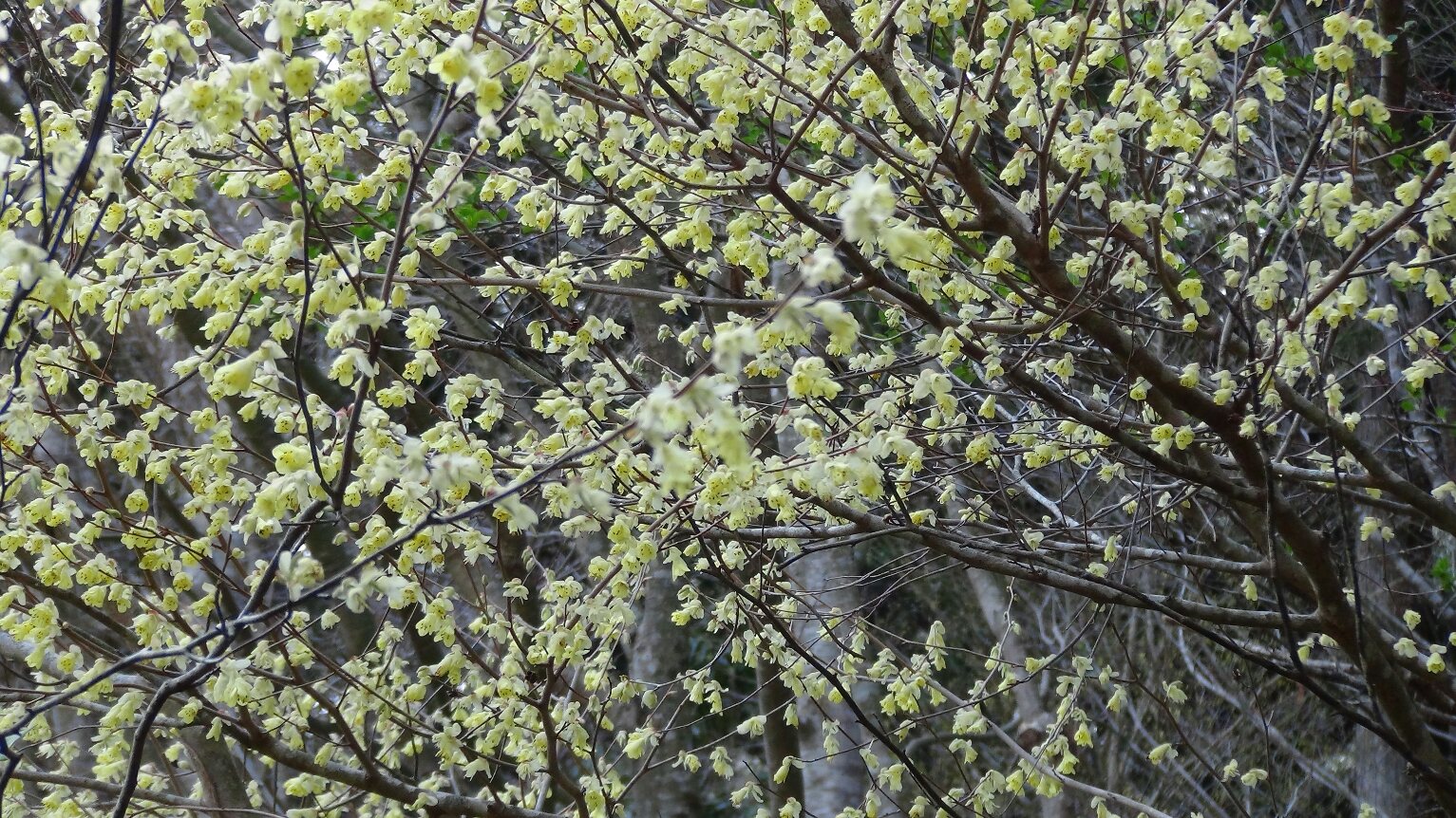 f0231709_22475419.jpg