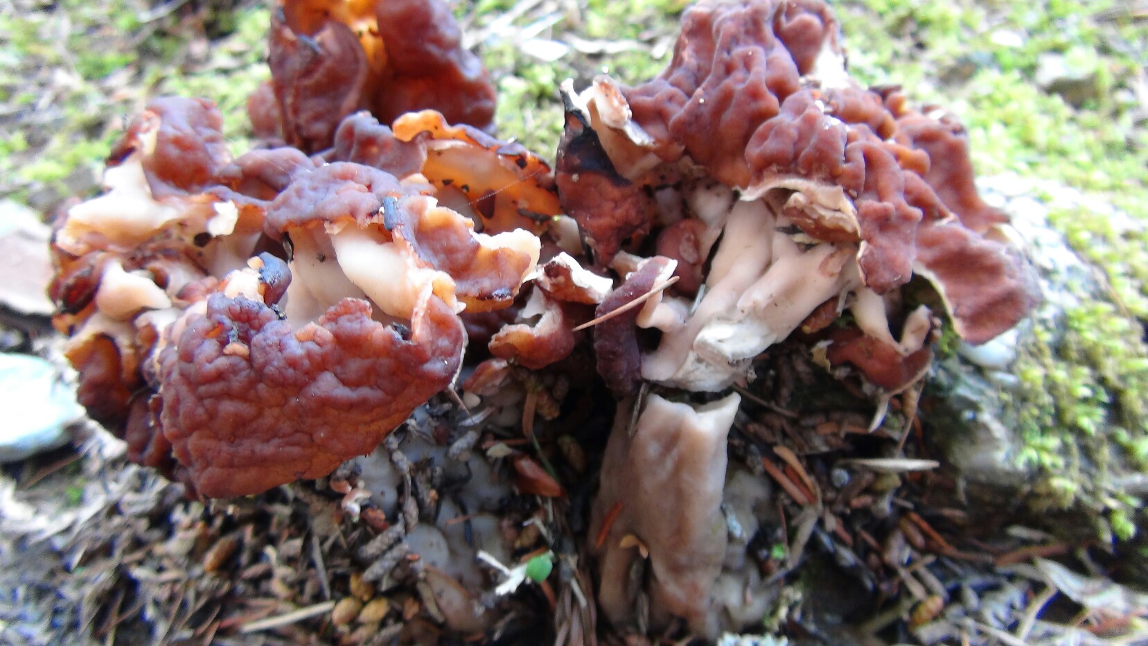 f0231709_230577.jpg