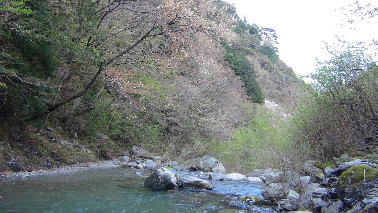 f0231709_23361137.jpg