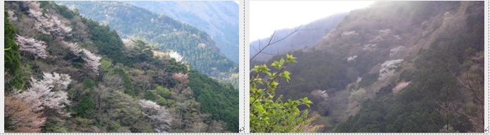 f0231709_23374257.png