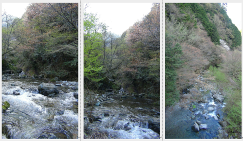 f0231709_23411992.png