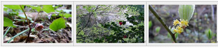 f0231709_23453047.png